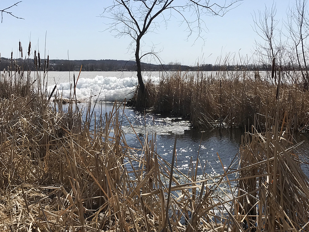 ice pelican lake lange copy